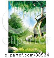 Poster, Art Print Of Lush Green Evergreens And Trees On A Forest Hillside