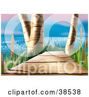 Clipart Illustration Of A Coastal Wood Footbridge Between Birch Trees And Cattails With A View Of The Sea