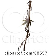 Clipart Illustration Of A Brown Liana Vine by dero