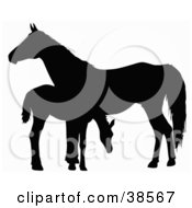 Clipart Illustration Of A Silhouette Of A Foal Grazing By A Horse