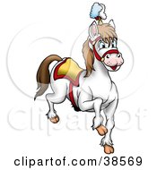 Poster, Art Print Of White Circus Horse