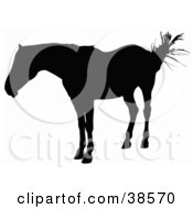 Clipart Illustration Of A Horse Swishing Its Tail And Silhouetted In Black