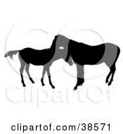 Clipart Illustration Of A Silhouette Of A Horse Grooming A Foal