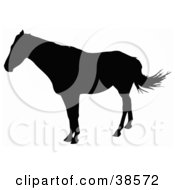 Clipart Illustration Of A Horse Standing And Silhouetted In Black