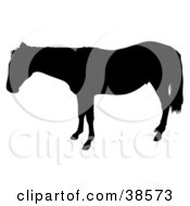 Clipart Illustration Of A Black Silhouetted Horse In Profile