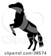 Clipart Illustration Of A Black Silhouetted Rearing Horse
