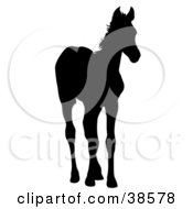 Clipart Illustration Of A Black Silhouetted Foal Standing