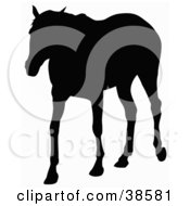 Clipart Illustration Of A Grown Horse Silhouetted In Black