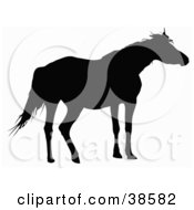 Clipart Illustration Of A Black Silhouette Of A Loan Horse