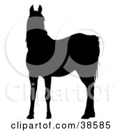 Clipart Illustration Of A Black Silhouette Of A Cautious Horse