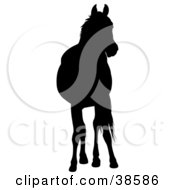 Clipart Illustration Of A Black Silhouetted Horse Standing