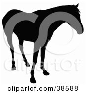 Clipart Illustration Of A Horse Silhouetted In Black And Standing