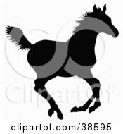 Poster, Art Print Of Black Silhouette Of A Galloping Horse