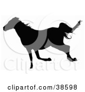 Poster, Art Print Of Black Silhouetted Trotting Horse