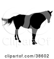Clipart Illustration Of A Lone Horse Silhouetted In Black by dero