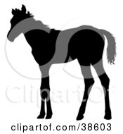Clipart Illustration Of A Black Silhouette Of A Skinny Foal by dero