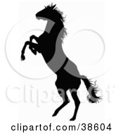 Poster, Art Print Of Black Silhouette Of A Rearing Horse