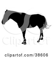 Clipart Illustration Of A Black Silhouetted Horse Swishing Its Tail by dero