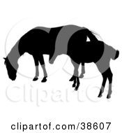 Clipart Illustration Of A Silhouette Of A Foal Beside Its Mother