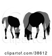Clipart Illustration Of A Silhouette Of A Foal And Horse Grazing by dero