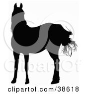 Poster, Art Print Of Black Silhouette Of A Horse In The Wind