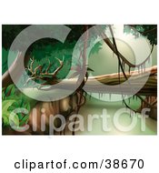 Clipart Illustration Of A Fallen Tree Spanning Between Cliffs In A Jungle by dero