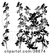 Clipart Illustration Of A Leafy Shrub Silhouetted In Black
