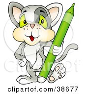 Poster, Art Print Of Gray Cat Standing With A Green Marker