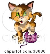 Brown Cat With Green Eyes Playing With A Ball Of Purple Yarn