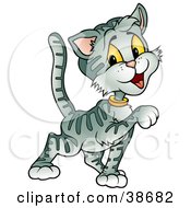 Clipart Illustration Of A Gray Striped Cat Strutting With One Paw Lifted by dero