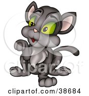 Poster, Art Print Of Dark Gray Cat With Green Eyes Sitting And Holding Up A Paw