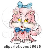 Pink Long Haired Cat Wearing Blue Bows