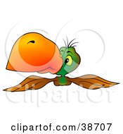 Poster, Art Print Of Brown And Green Parrot With An Orange Beak Flying Forward