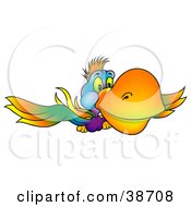 Poster, Art Print Of Colorful Parrot With A Yellow Beak Flying Forward