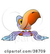 Poster, Art Print Of Friendly Purple Parrot With An Orange Beak