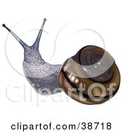Clipart Illustration Of A Brown Shelled Sonorella Macrophallus Snail by dero