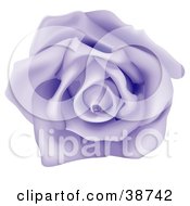 Clipart Illustration Of A Fully Bloomed Single Purple Rose