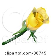 Poster, Art Print Of Single Yellow Rose With Thorns