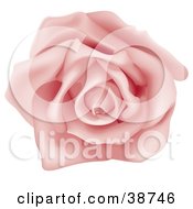 Clipart Illustration Of A Fully Bloomed Single Pink Rose