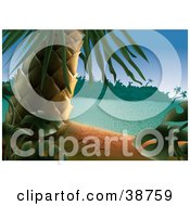 Poster, Art Print Of Palm Tree And Green Tropical Plants On A Dry Sandy Beach Of A Tropical Island