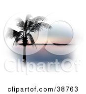 Poster, Art Print Of Palm Tree Silhouetted In Black Against A Pastel Pink Sunset