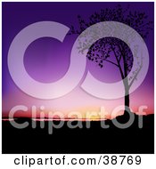 Poster, Art Print Of Purple And Orange Sunset Silhouetted A Tree In Black