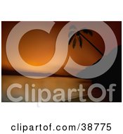 Clipart Illustration Of An Orange Sunset Silhouetting A Palm Tree On A Beach by dero