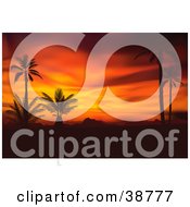 Poster, Art Print Of Scene Of Black Silhouetted Palm Trees Against A Fiery Orange And Red Tropical Sunset