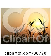 Clipart Illustration Of An Orange Sunset Silhouetting Grasses by dero