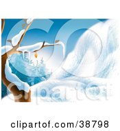 Poster, Art Print Of Bare Tree Flocked In Snow Beside A Snow Covered Hill At The Edge Of The Woods