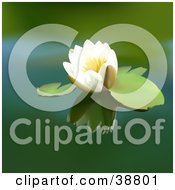 Poster, Art Print Of White Lotus Floating On A Green Pond