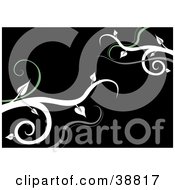 Clipart Illustration Of A Black Background With Gray Green And White Vines by dero
