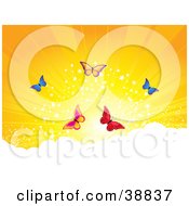 Poster, Art Print Of Five Colorful Butterflies Above The Clouds Against A Sparkling Orange Sunset