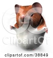 Poster, Art Print Of Hammy The Productive Hamster Smiling And Holding His Arms Out